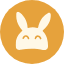Alice Networks